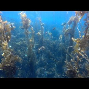 Meet your Posher, Kylie